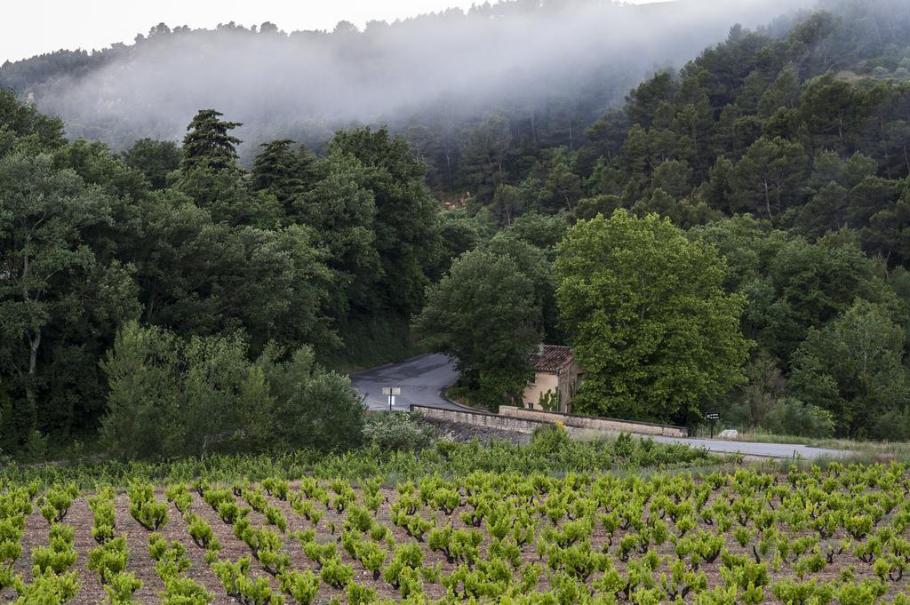 Le Grand Jardin Bed and Breakfast Lafare Esterno foto