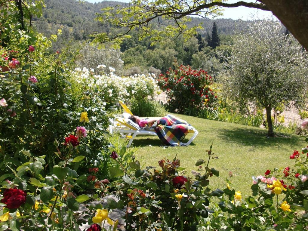 Le Grand Jardin Bed and Breakfast Lafare Esterno foto