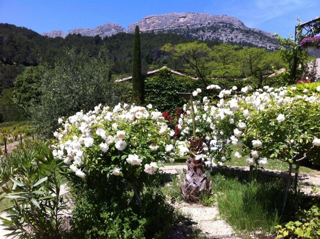 Le Grand Jardin Bed and Breakfast Lafare Esterno foto