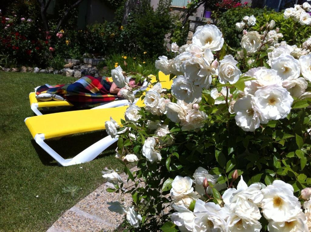 Le Grand Jardin Bed and Breakfast Lafare Esterno foto