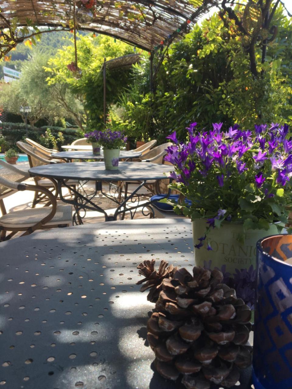 Le Grand Jardin Bed and Breakfast Lafare Esterno foto