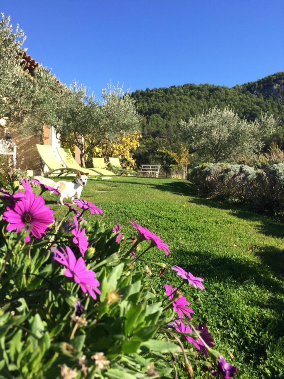 Le Grand Jardin Bed and Breakfast Lafare Esterno foto