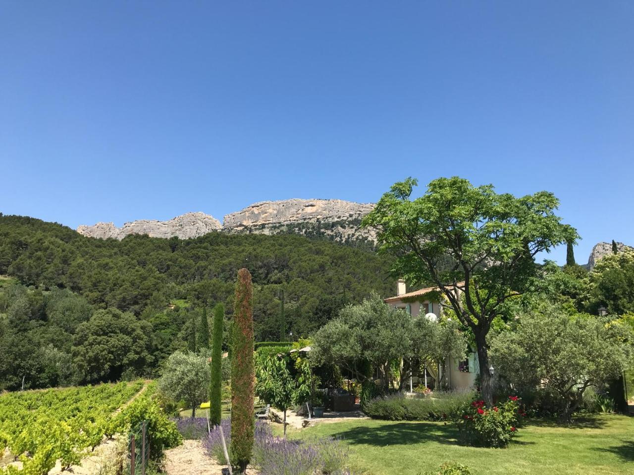 Le Grand Jardin Bed and Breakfast Lafare Esterno foto